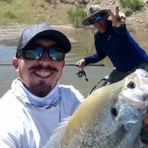 Meet your Posher, Danny